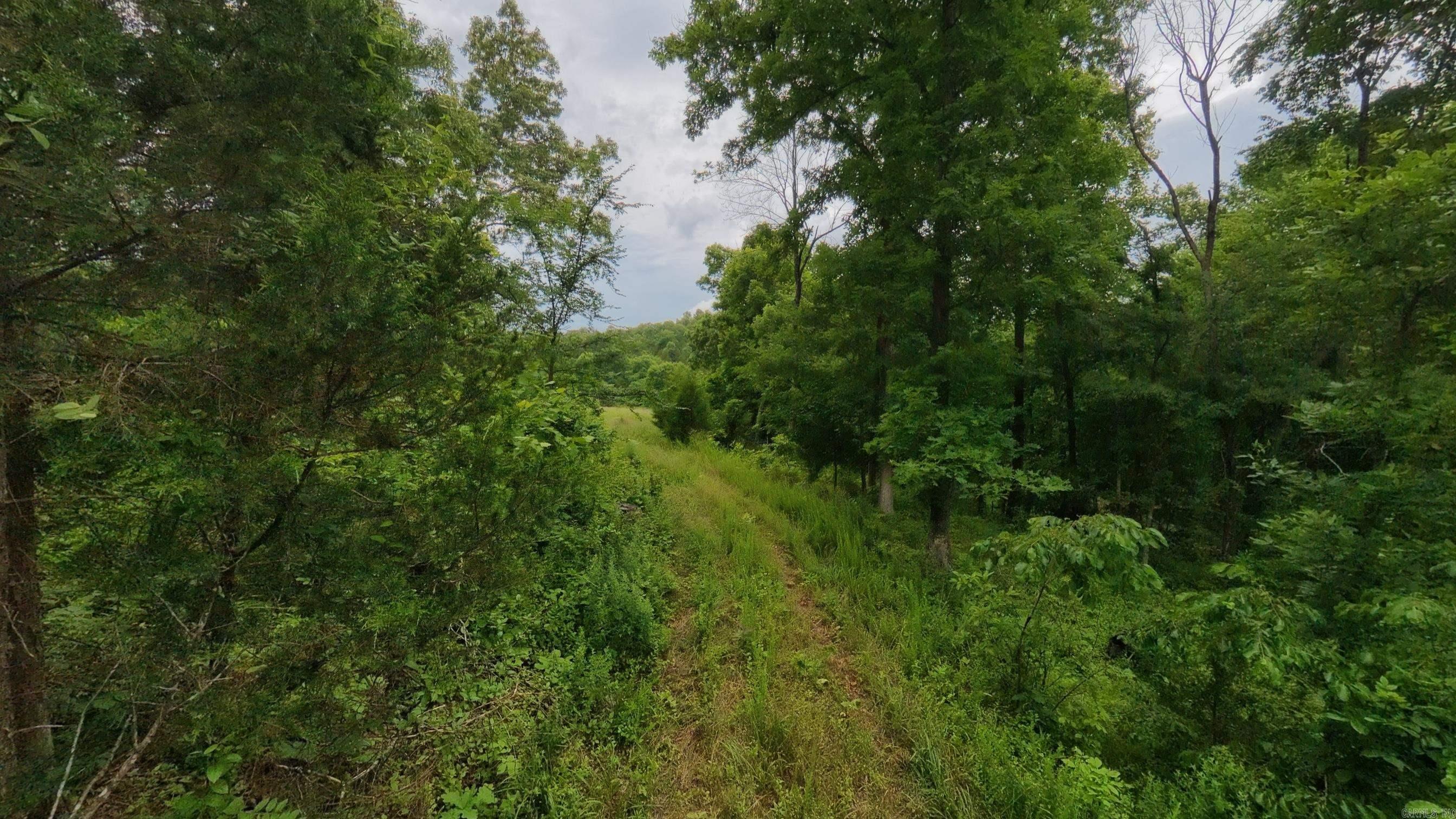 Photo 17 - Vacant Land for sale – 000  Highway 289   Mammoth Spring, AR