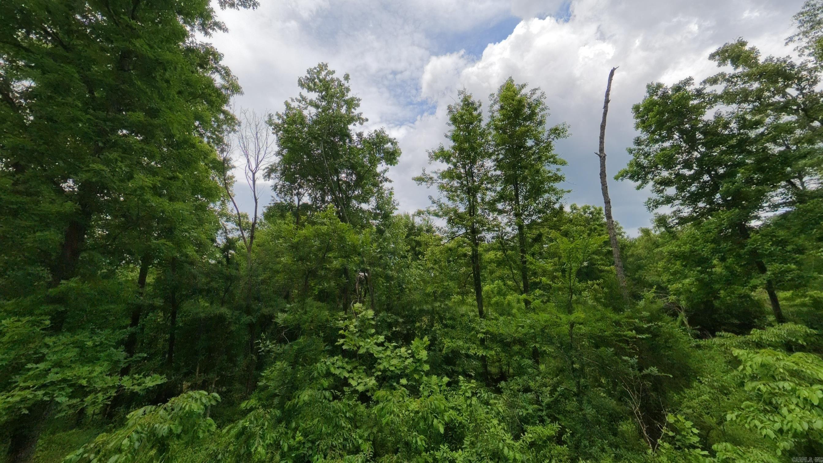 Photo 18 - Vacant Land for sale – 000  Highway 289   Mammoth Spring, AR