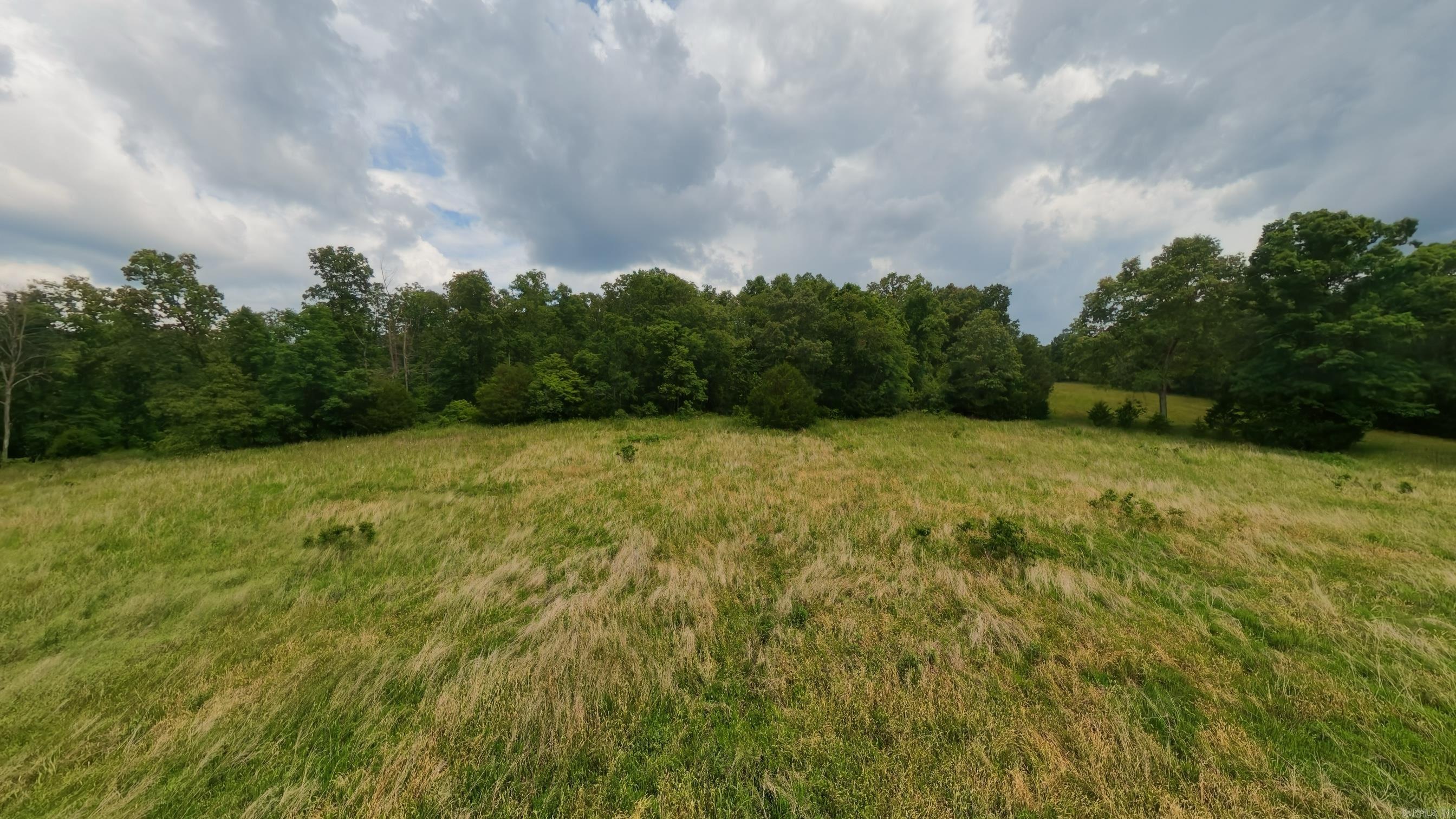 Photo 4 - Vacant Land for sale – 000  Highway 289   Mammoth Spring, AR