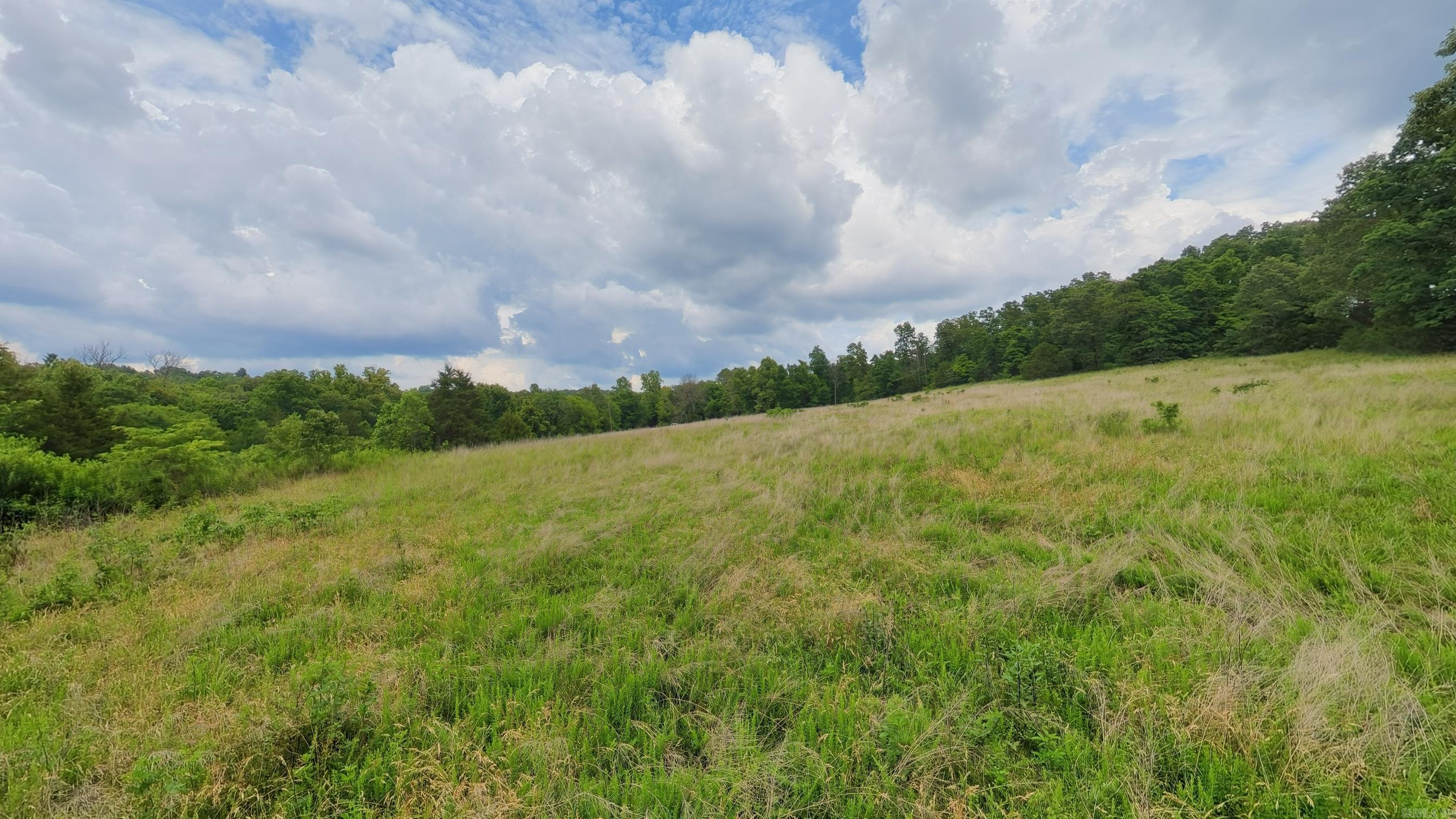 Photo 7 - Vacant Land for sale – 000  Highway 289   Mammoth Spring, AR