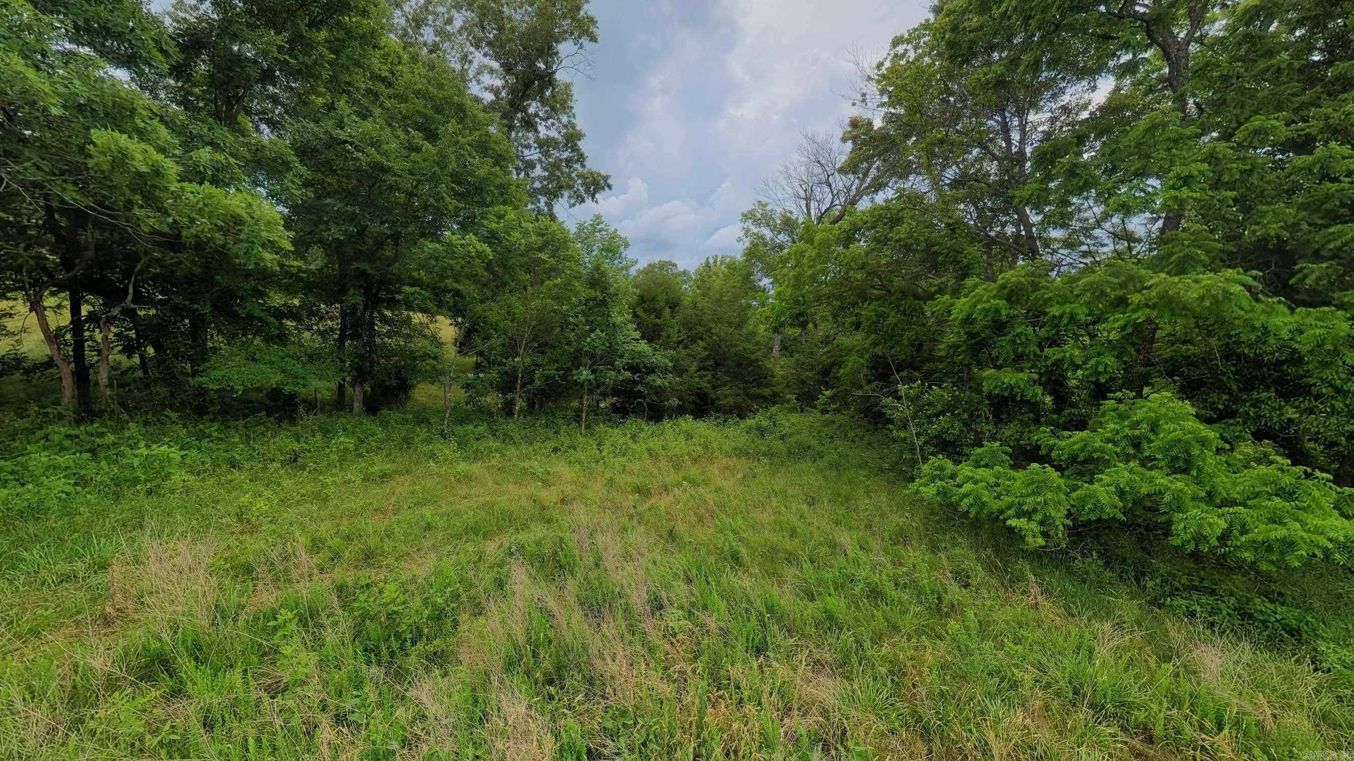 Photo 8 - Vacant Land for sale – 000  Highway 289   Mammoth Spring, AR