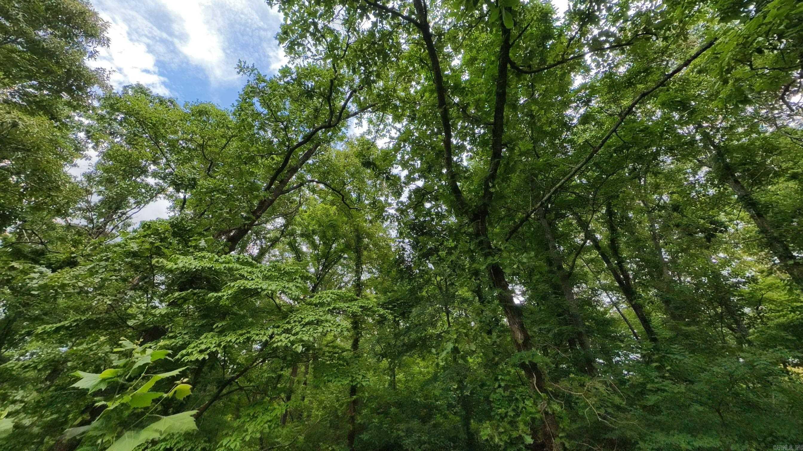 Photo 10 - Vacant Land for sale – 000  Highway 289   Mammoth Spring, AR