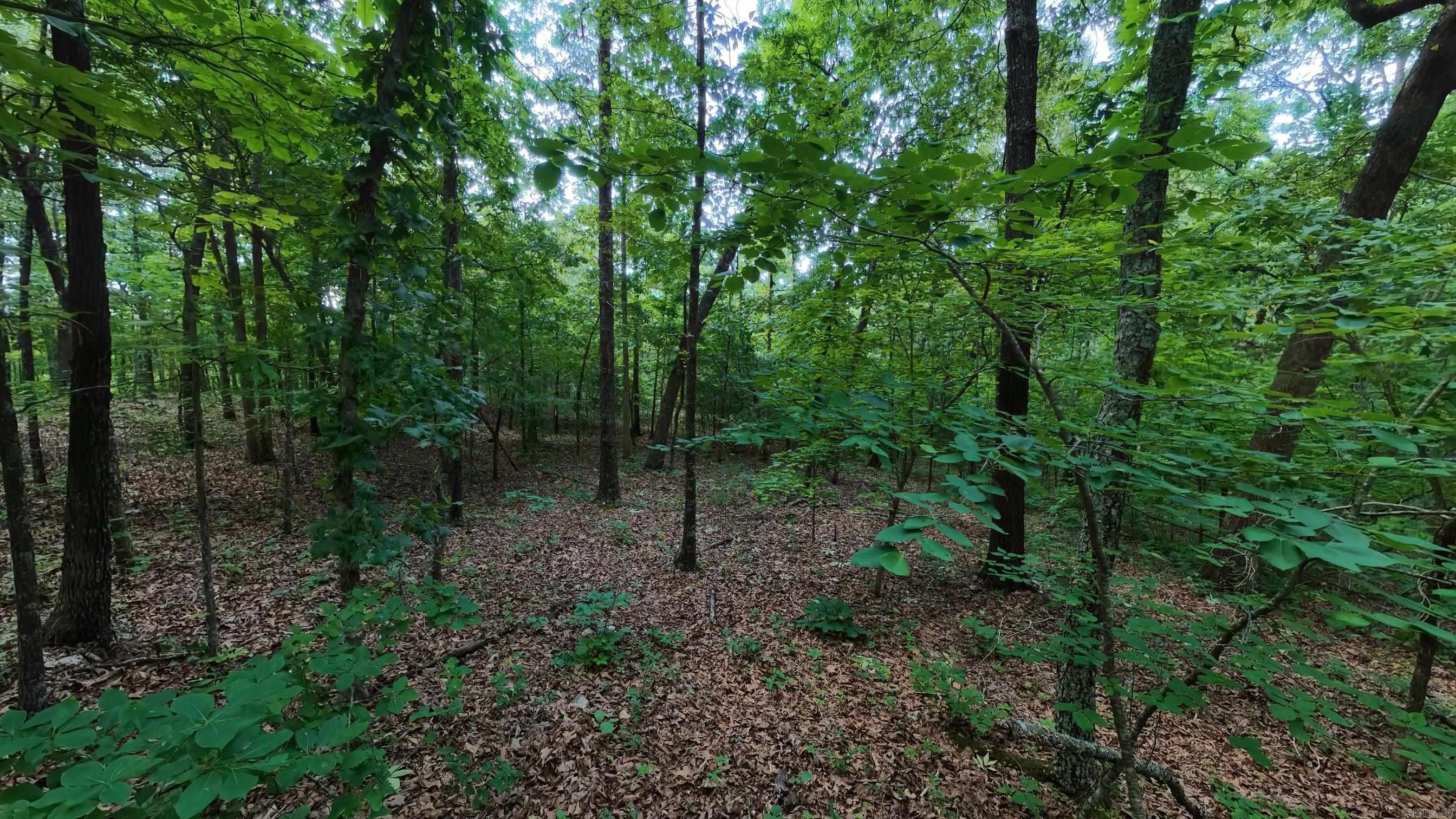 Photo 26 - Residential for sale – 17  Mary   Hardy, AR