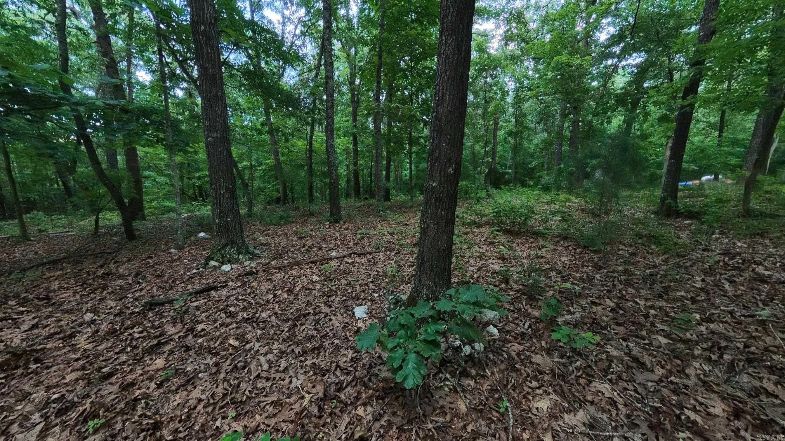 Photo 30 - Residential for sale – 17  Mary   Hardy, AR