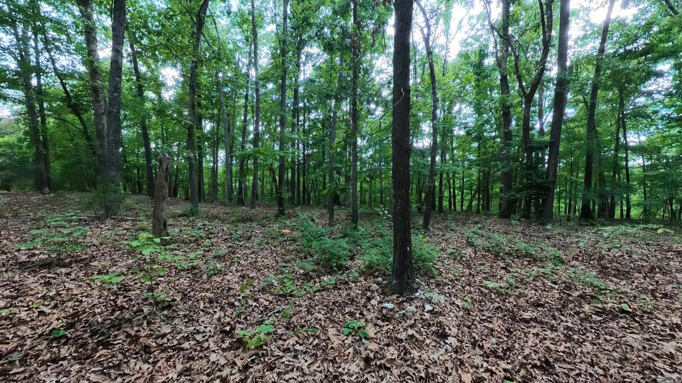 Photo 31 - Residential for sale – 17  Mary   Hardy, AR